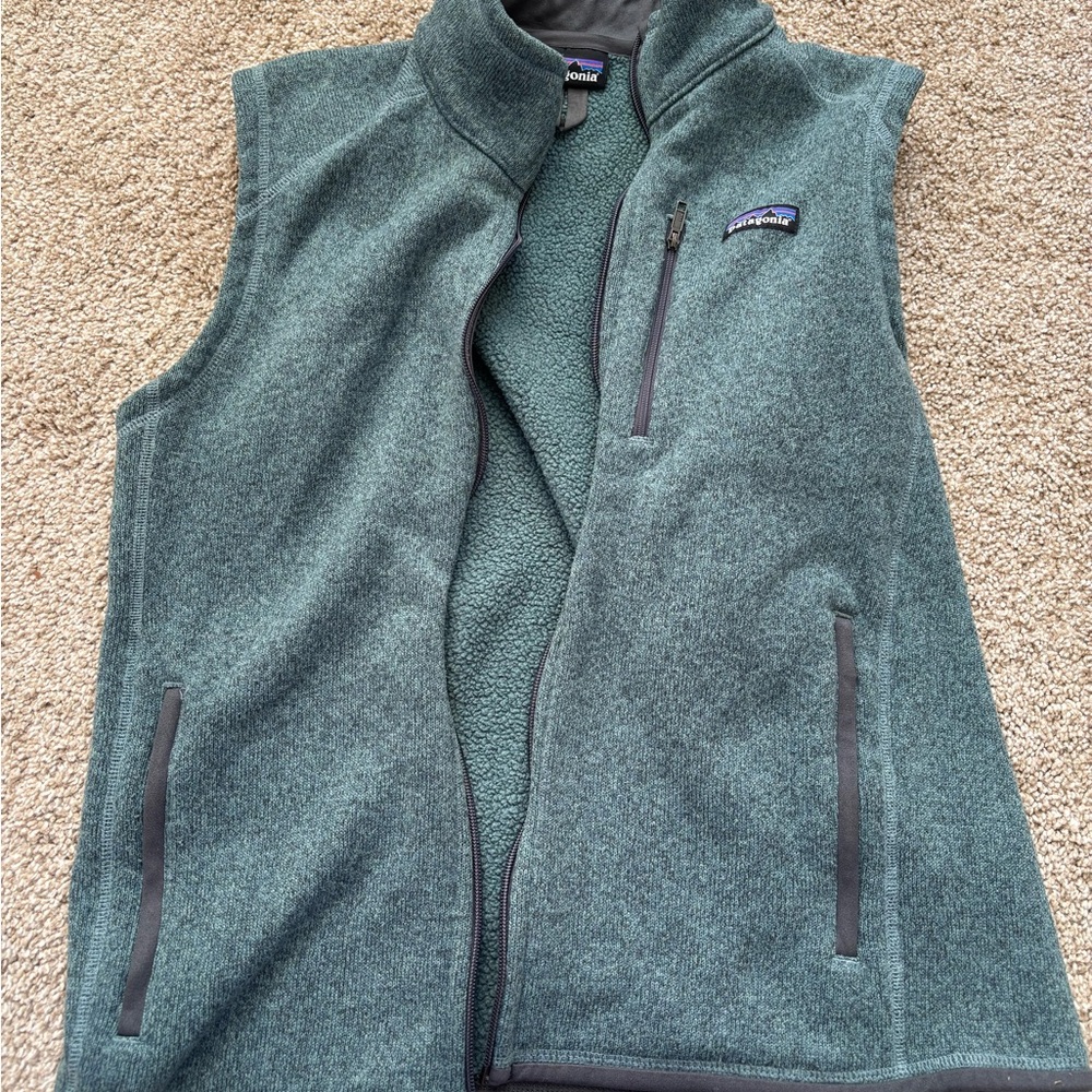 Patagonia Blue Fleece Vest